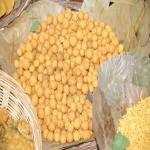 Vraj-Yatra-2014- (982)